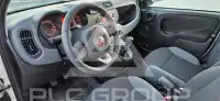2017 Fiat Panda