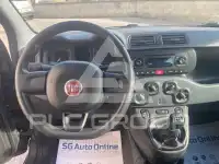 2017 Fiat Panda
