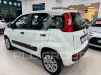 2017 Fiat Panda