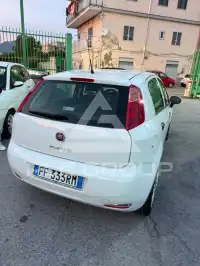 2017 Fiat Punto