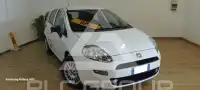 2017 Fiat Punto