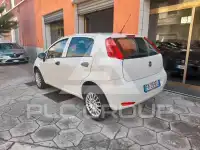 2017 Fiat Punto