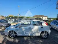 2017 Fiat Punto