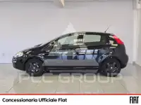2017 Fiat Punto