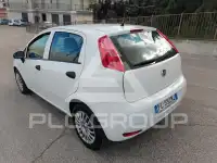 2017 Fiat Punto