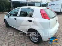 2017 Fiat Punto