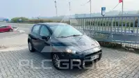 2017 Fiat Punto