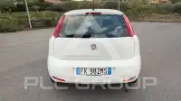 2017 Fiat Punto