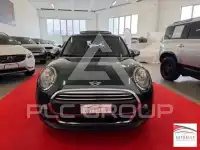 2017 Mini Unknown