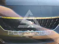 2017 Peugeot Traveller