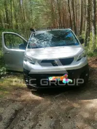2017 Peugeot Traveller