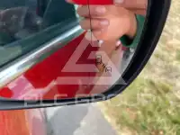 2017 Ford C-MAX