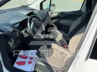 2017 Ford Tourneo