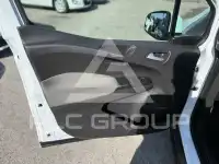 2017 Ford Tourneo
