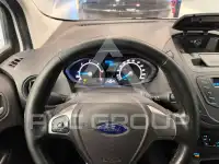 2017 Ford Tourneo