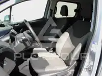 2017 Ford Tourneo