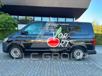 2017 Volkswagen T6