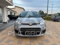 2018 Fiat Panda