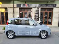 2018 Fiat Panda