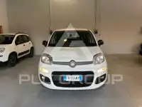 2018 Fiat Panda