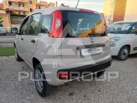 2018 Fiat Panda