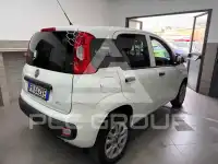 2018 Fiat Panda
