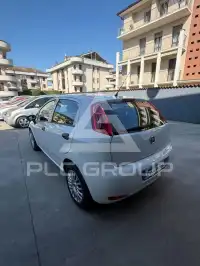 2018 Fiat Punto