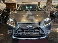 2018 Lexus NX300