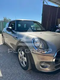 2018 Mini Unknown