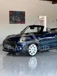 2018 Mini Unknown