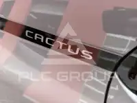 2018 Citroen C4