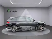 2019 Skoda Kodiaq