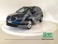 2019 Skoda Karoq