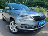 2019 Skoda Karoq
