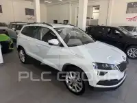 2019 Skoda Karoq