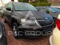 2019 Skoda Karoq