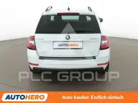 2019 Skoda Octavia