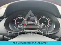 2019 Skoda Octavia