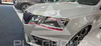 2019 Skoda Octavia