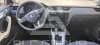 2019 Skoda Octavia