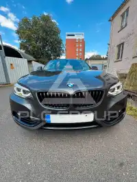 2019 BMW 218