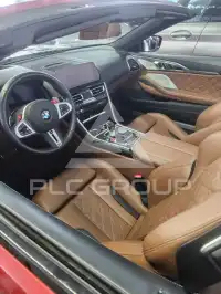 2019 BMW M8