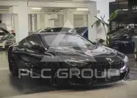 2019 BMW M8