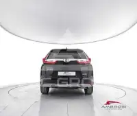 2019 Honda 