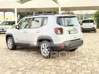 2019 Jeep Renegade