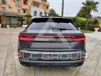 2019 Audi Q8