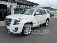 2019 Cadillac ESCALADE