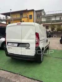 2019 Fiat Unknown