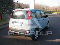 2019 Fiat Panda