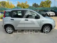 2019 Fiat Panda